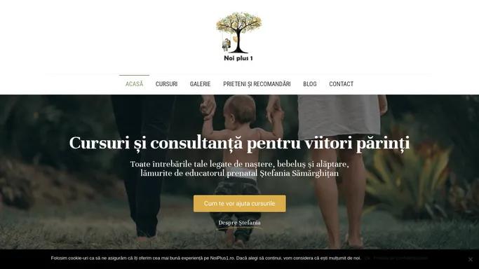 NoiPlus1 - Cursuri si consultanta pentru viitori parinti