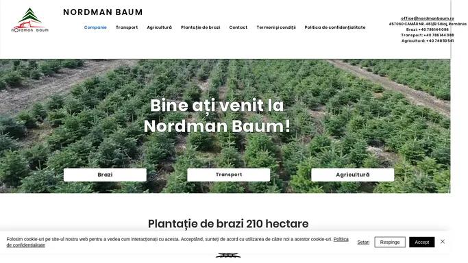 Brazi de Craciun | Nordmanbaum.ro | Camar