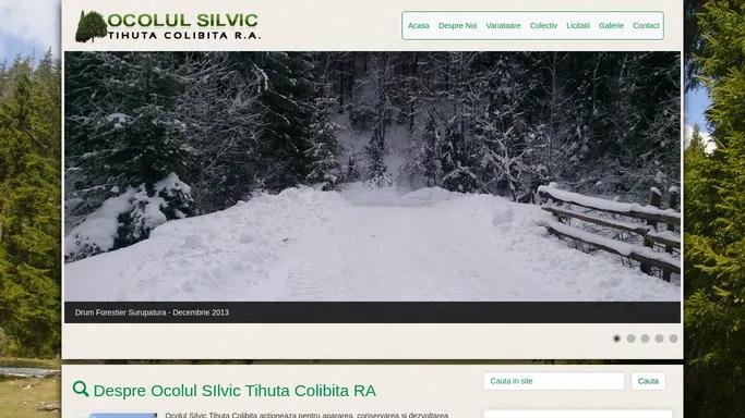 Ocolul Silvic Tihuta Colibita RA