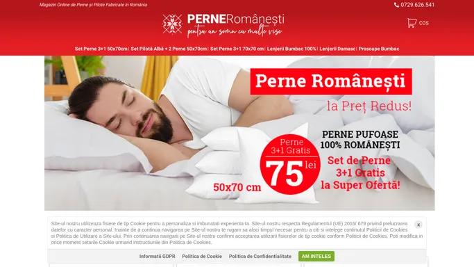 Magazin Online de Perne si Pilote fabricate in Romania.