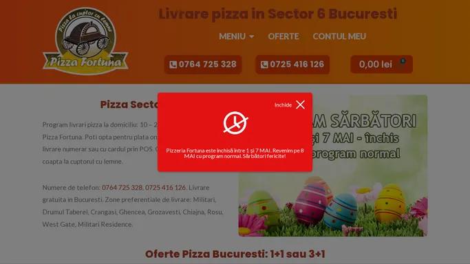 Pizza Sector 6 - Militari - Drumul Taberei - Oferta Pizza 1+1