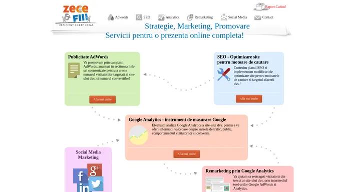 Promovare Google AdWords si optimizare site SEO - Marketing online