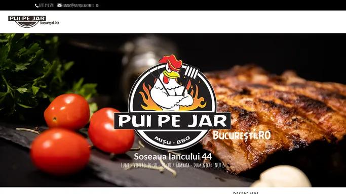 Pui Pe Jar Bucuresti | MISU BBQ Bucuresti |