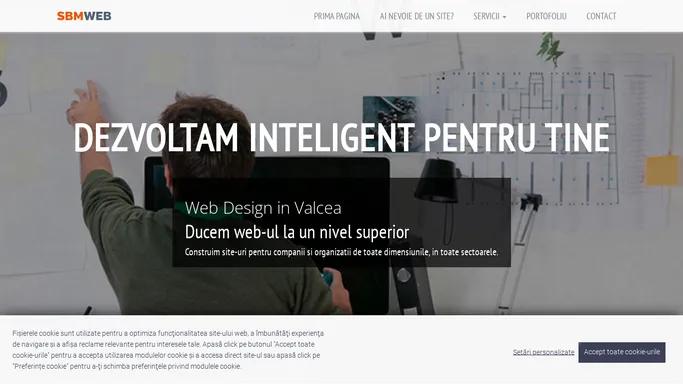 Web Design Valcea