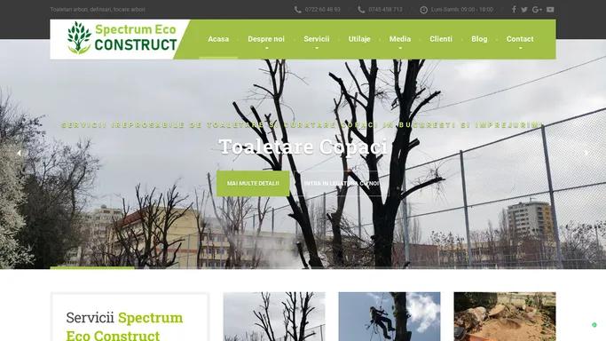 Toaletari arbori, defrisari, tocare arbori - Spectrum Eco Construct