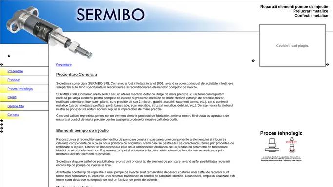 - Sermibo - Reparatii elementi pompe de injectie