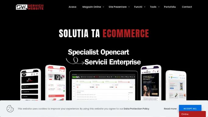 Servicii Website ✔️ Professional Team