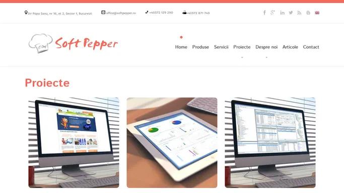 Soft Pepper - Dezvoltare software si sisteme ERP, ticketing