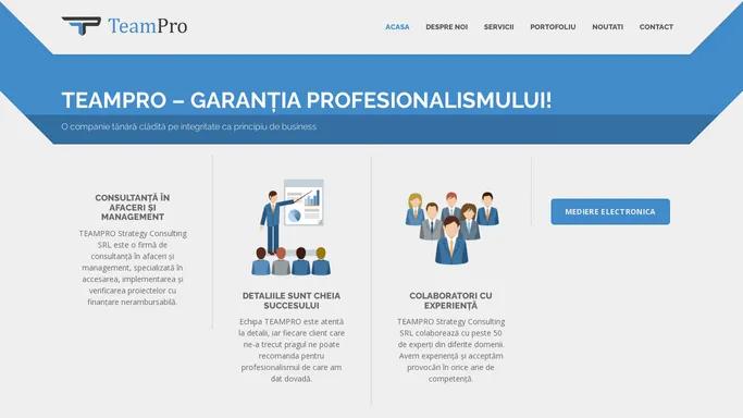 Team Pro Strategy Consulting - Garantia profesionalismului Team Pro