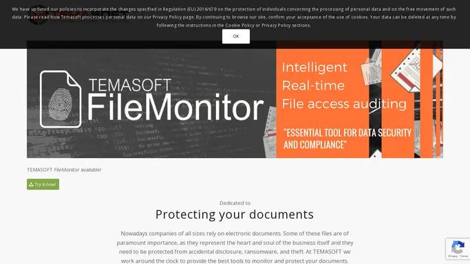 TEMASOFT - file monitoring