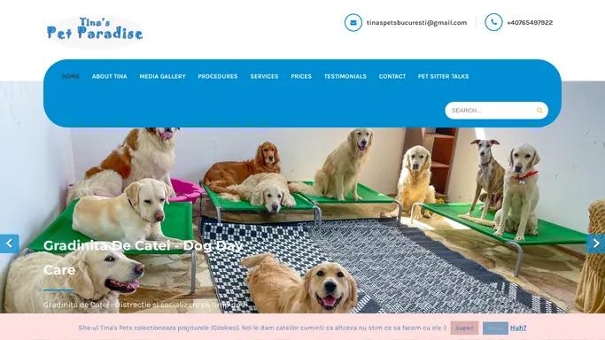 Tina's Pets – Servicii Premium pentru Animalul tau de Companie