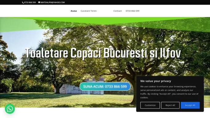 Curatare Teren, Toaletare copaci Bucuresti si Ilfov