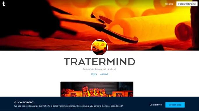 TRATERMIND
