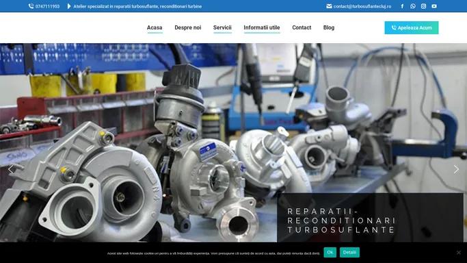 Oferim servicii complete de reparatii turbosuflante