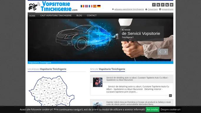 Vopsitorie Tinichigerie
