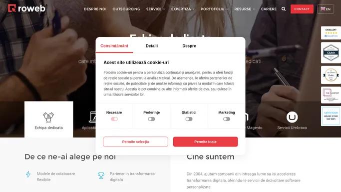 Servicii de dezvoltare software | Solutii software complete | Roweb