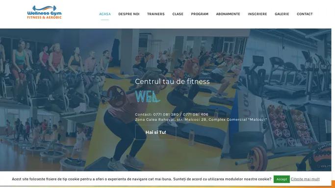 Wellness Gym Fitness & Aerobic