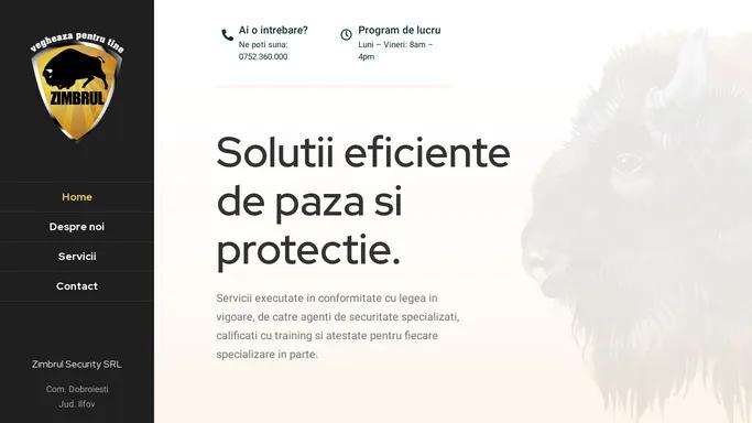 Zimbrul Security – Solutii eficiente de paza si protectie