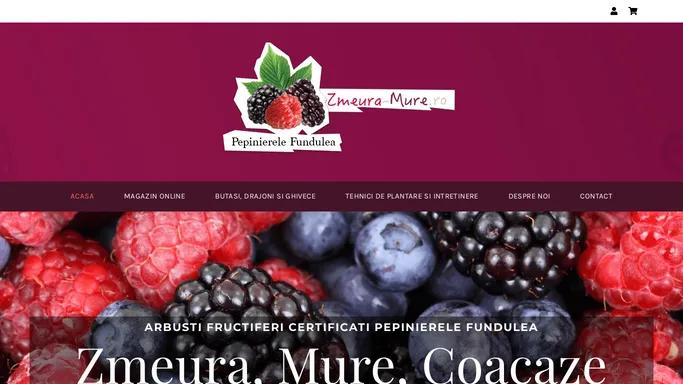 Zmeura si Mure - Fructe de padure delicioase - Pepinierele Fundulea