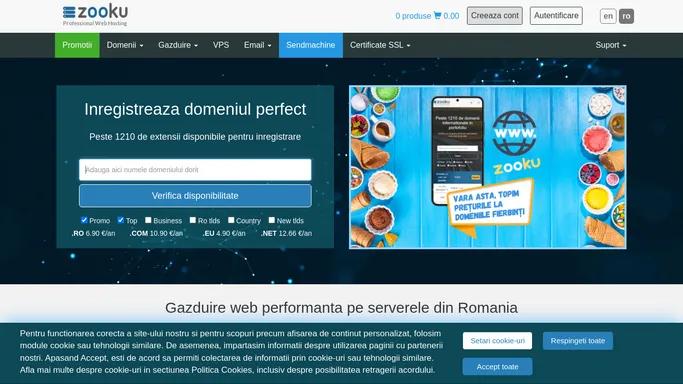 Gazduire web, inregistrare domenii, domenii .ro in Romania