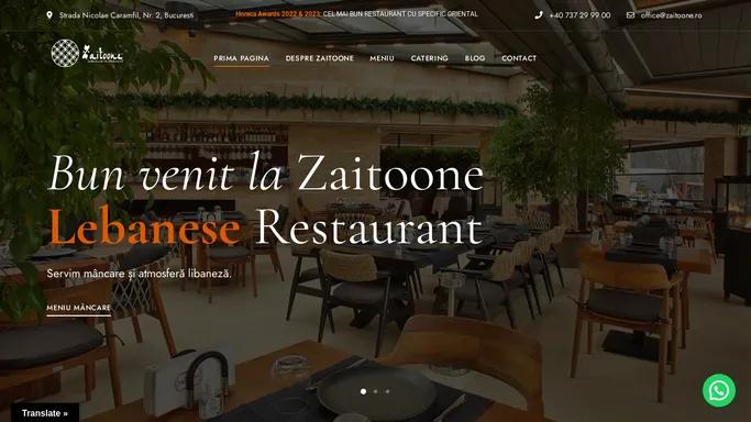 Zaitoone - Best Lebanese Food Restaurant in Bucharest