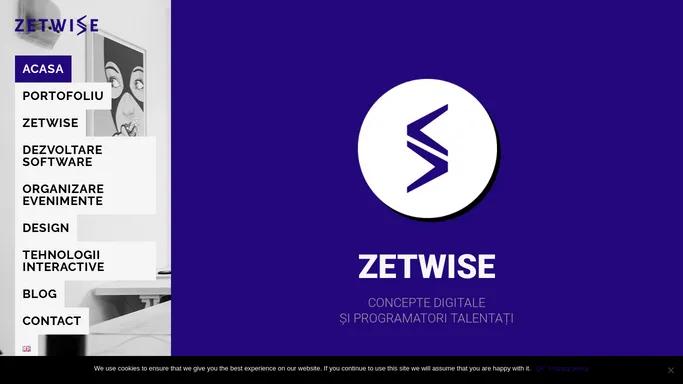 Zetwise - Solutii personalizate pentru business-ul tau