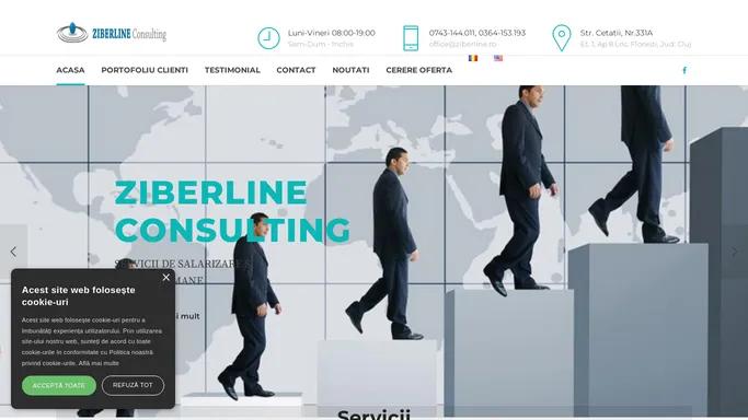 Ziberline Consulting