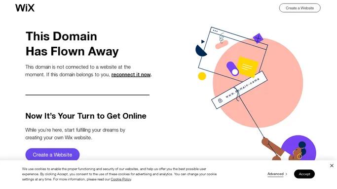 Reconnect Your Domain | Wix.com