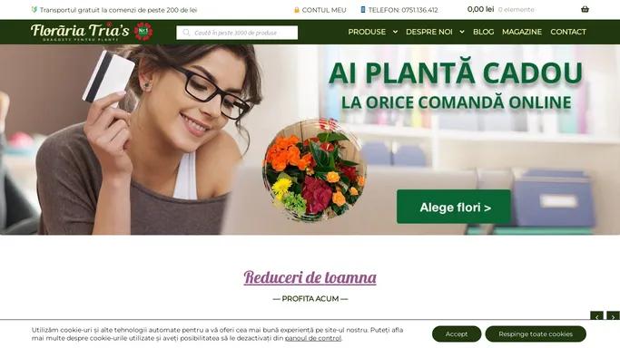 Floraria Trias - livrare flori in toata Romania - Dragoste pentru plante