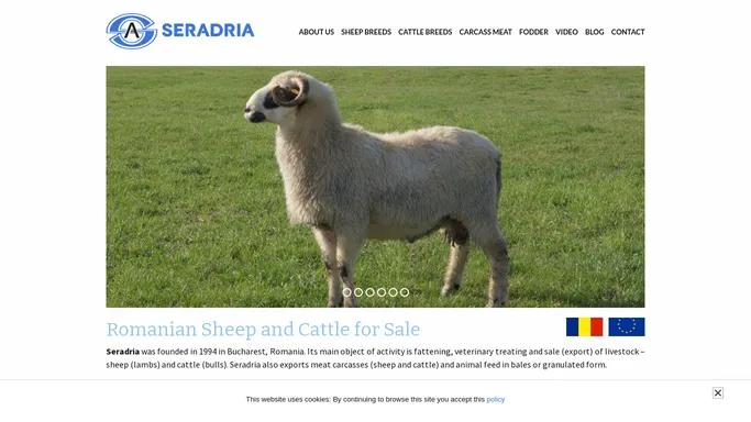 Seradria - Romanian Sheep and Cattle for Sale