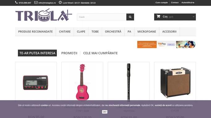 Magazinul de instrumente muzicale - TRIOLA Plus