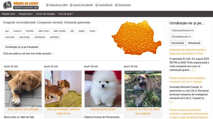 AdoptiiCaini.ro - Anunturi caini, adoptii caini de rasa si comunitari, info utile