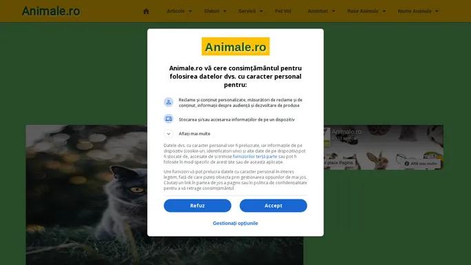 Animale.ro - Comunitatea iubitorilor de animale - tot ce vrei sa stii despre animalul tau, boli, simptome, rase complete, anunturi - www.animale.ro