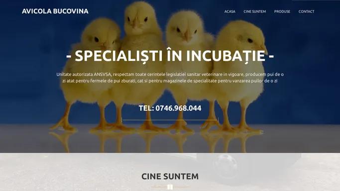 Avicola Bucovina – Specialisti in incubatie