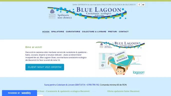 BLUE LAGOON CLEAN - Spalatorie si Curatatorie Ecologica