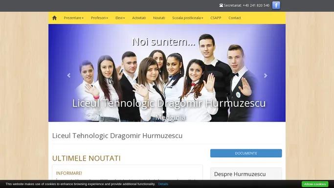 Liceul Tehnologic Dragomir Hurmuzescu | Medgidia