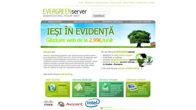 Web Hosting, Servere dedicate si servere virtuale - colocare servere in Romania