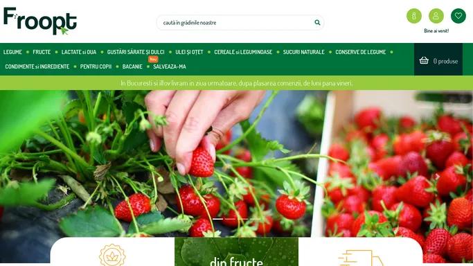 Magazin online Fructe si Legume – Froopt.ro