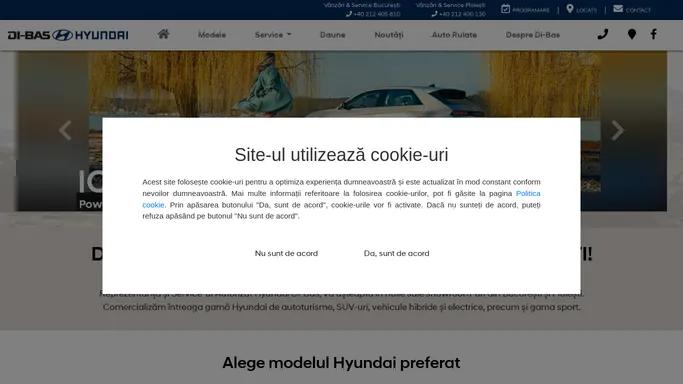 Dealer Hyundai Bucuresti si Ploiesti - Vanzari si service