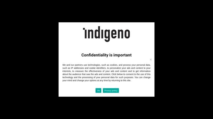 Indigeno Company Website – Indigeno Company Website