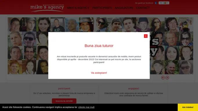 Mike's Agency