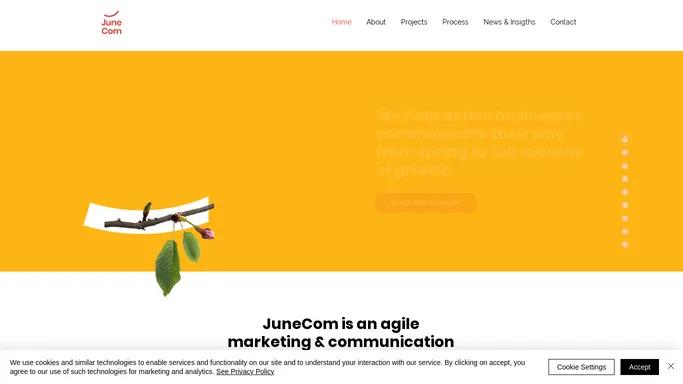 Marketing & Communication Agency | JuneCom | Municipiul Bucuresti