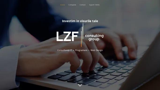 LZF Consulting Group