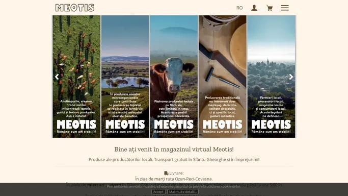 Magazinul virtual Meotis