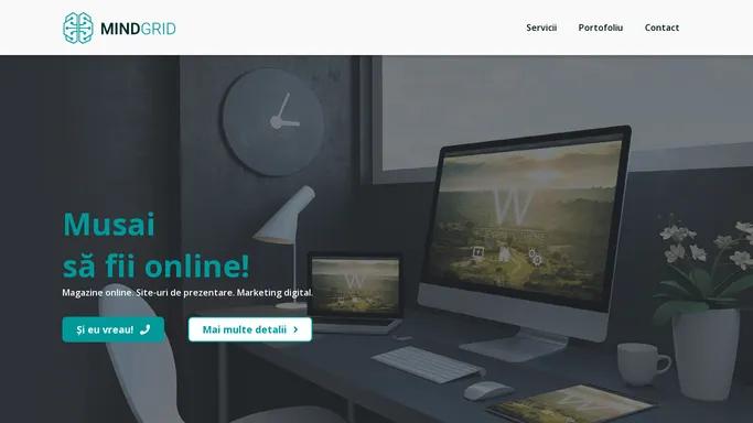 Mind Grid – Agentie de web-design din Simleu Silvaniei