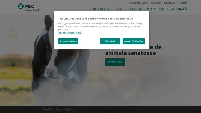 Pagina principala - MSD Animal Health Romania