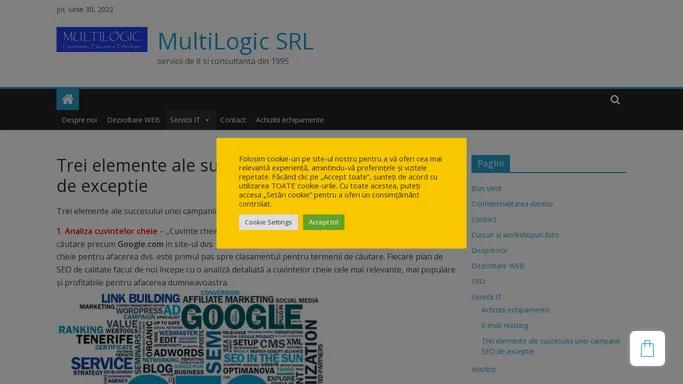 MultiLogic SRL – servicii de it si consultanta din 1995