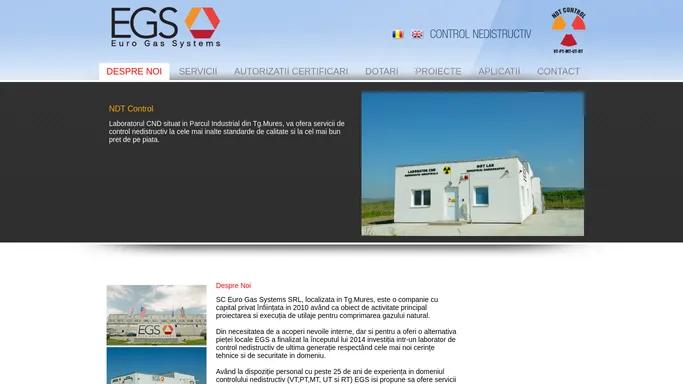 NDT Control - EurogasSystems