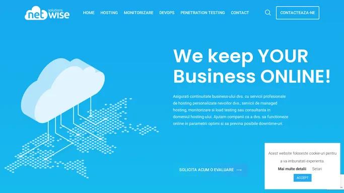Net Wise Solutions - Servicii de hosting profesional