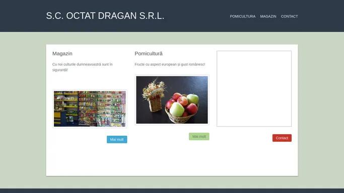 S.C. OCTAT DRAGAN S.R.L. | Fructe cu aspect european si gust romanesc